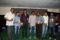 Nagarjuna Bhai Movie Audio Launch